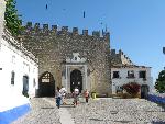 20080715103425_556.jpg