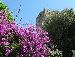 20080715110229_543.jpg