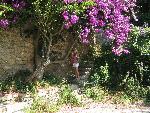 20080715110320_542.jpg
