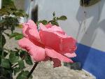20080715110753_541.jpg