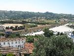 20080715111557_539.jpg