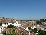 20080715112311_533.jpg
