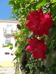 20080715113522_021.jpg