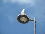 20080715171059_519.jpg
