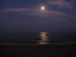 20080715212924-portugalia-algarve-albufeira.jpg
