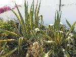20080716160328_485.jpg