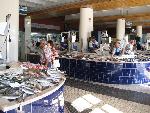 20080717095039_460.jpg