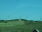 20080717112702_445.jpg