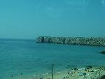 20080717114148_444.jpg