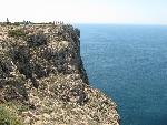 20080717121622_442.jpg