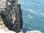 20080717123117_425.jpg
