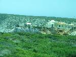 20080717124203_418.jpg