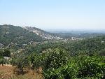 20080717140135_416.jpg