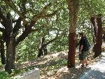 20080717141747_413.jpg