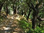 20080717141844_178.jpg