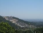 20080717142433_409.jpg