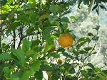 20080717142831_408.jpg