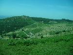 20080717152827_396.jpg
