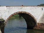 20080717162138_394.jpg