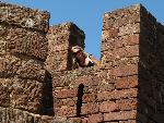 20080717164111_380.jpg