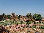 20080717164539_378.jpg