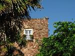 20080717170058_373.jpg