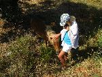 20080720171330_255.jpg