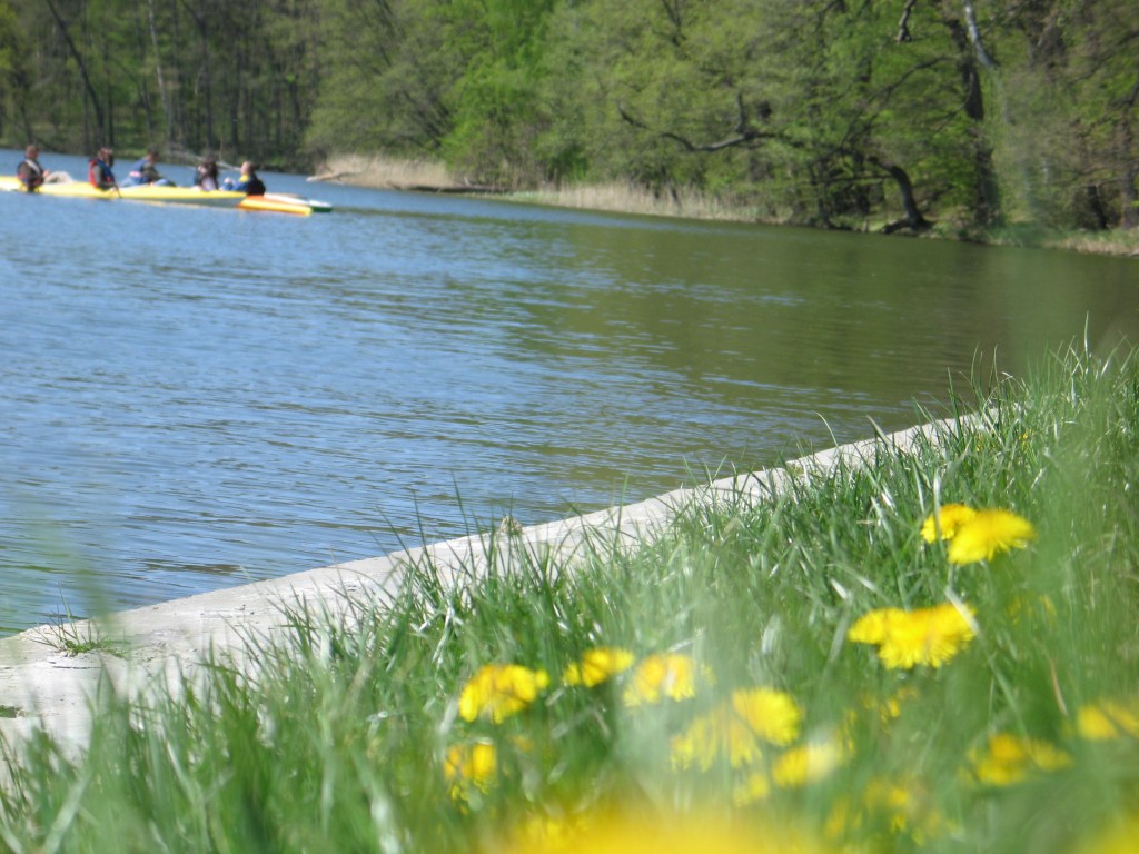 20070429_111440_011.jpg, galeria RucianeNida_Kadzidlowo_Krutyn_Mragowo