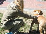 20070429_112242_015 - pies.jpg