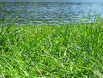 20070429_133807_022.jpg