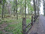 20070430_073754_033 - stary cmentarz.jpg