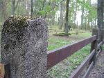 20070430_073858_038 - stary cmentarz.jpg