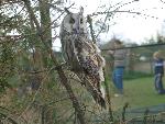 20070430_101101_090 - boo.jpg