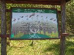20070430_105831_152 - ptasi budzik.jpg