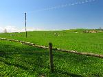 20070430_112258_155 - mazury.jpg