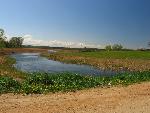 20070430_113350_163 - mazury.jpg