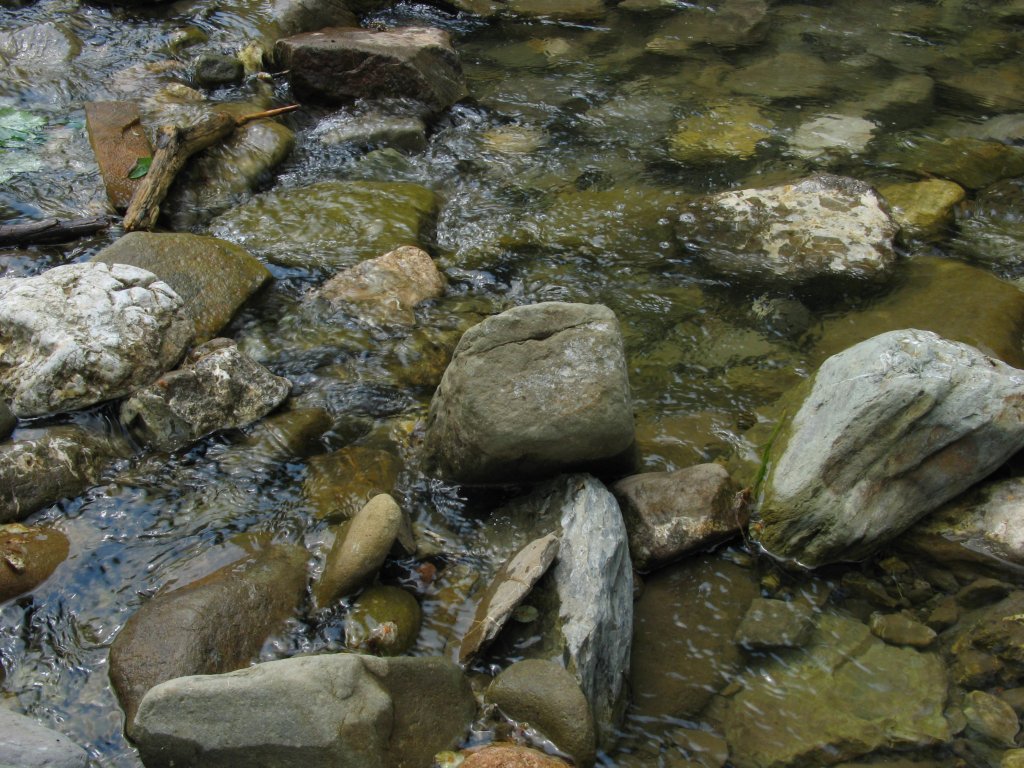 A-biala_woda05.JPG, galeria Szczawnica
