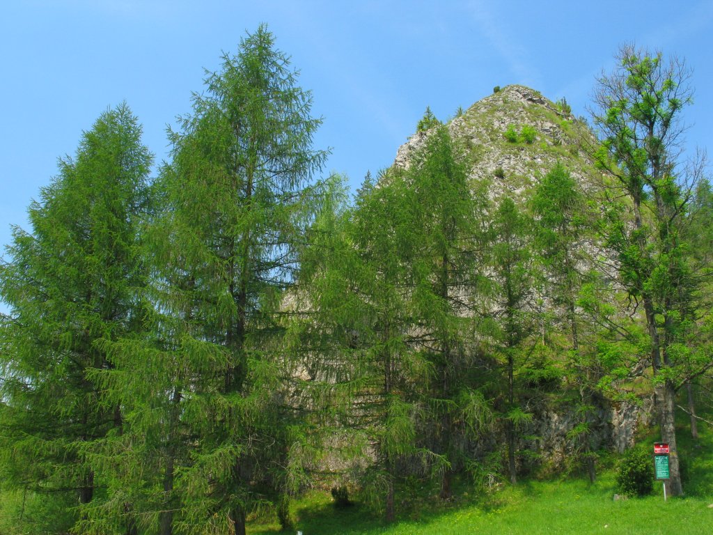 A-biala_woda10.JPG, galeria Szczawnica