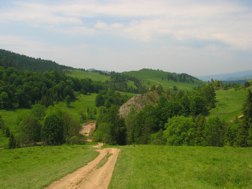 A-biala_woda16.JPG, galeria Szczawnica