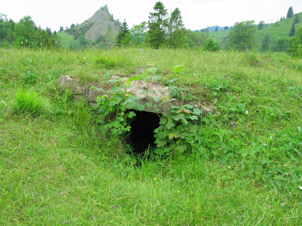 A-biala_woda17.JPG, galeria Szczawnica