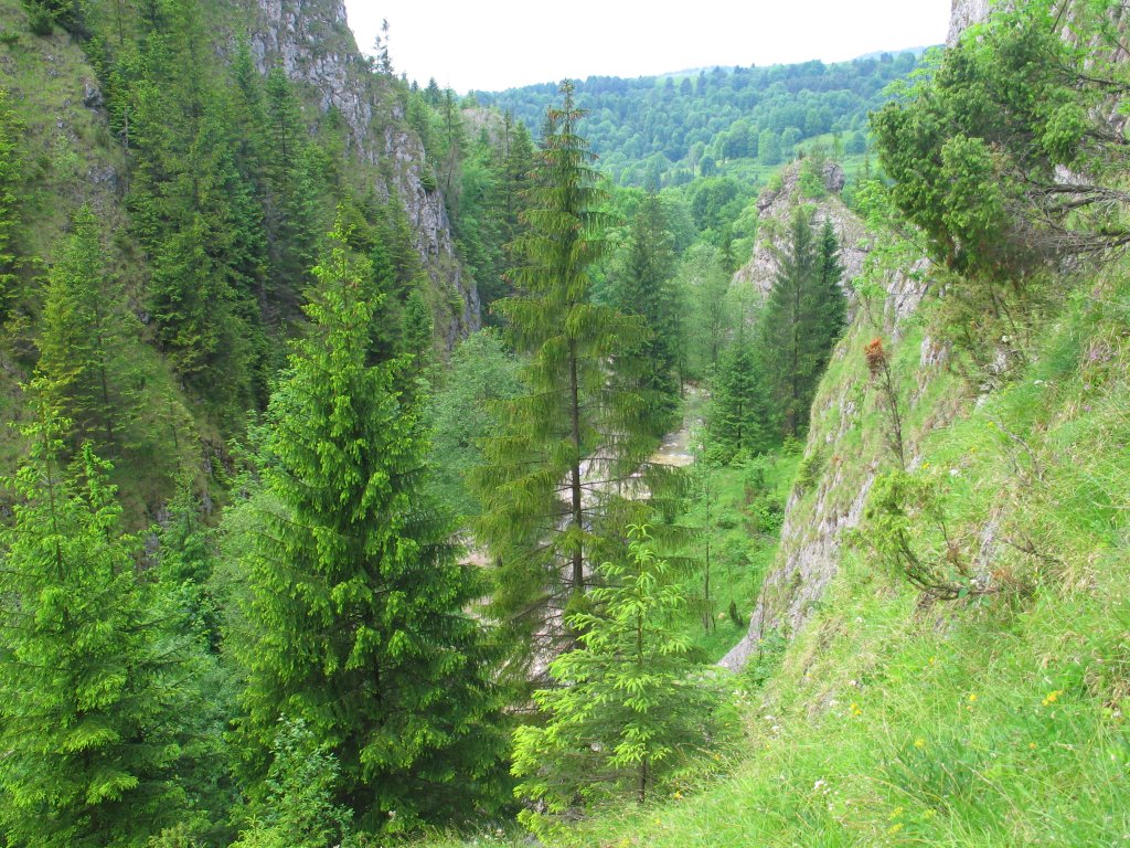 A-wawoz_homole04.JPG, galeria Szczawnica