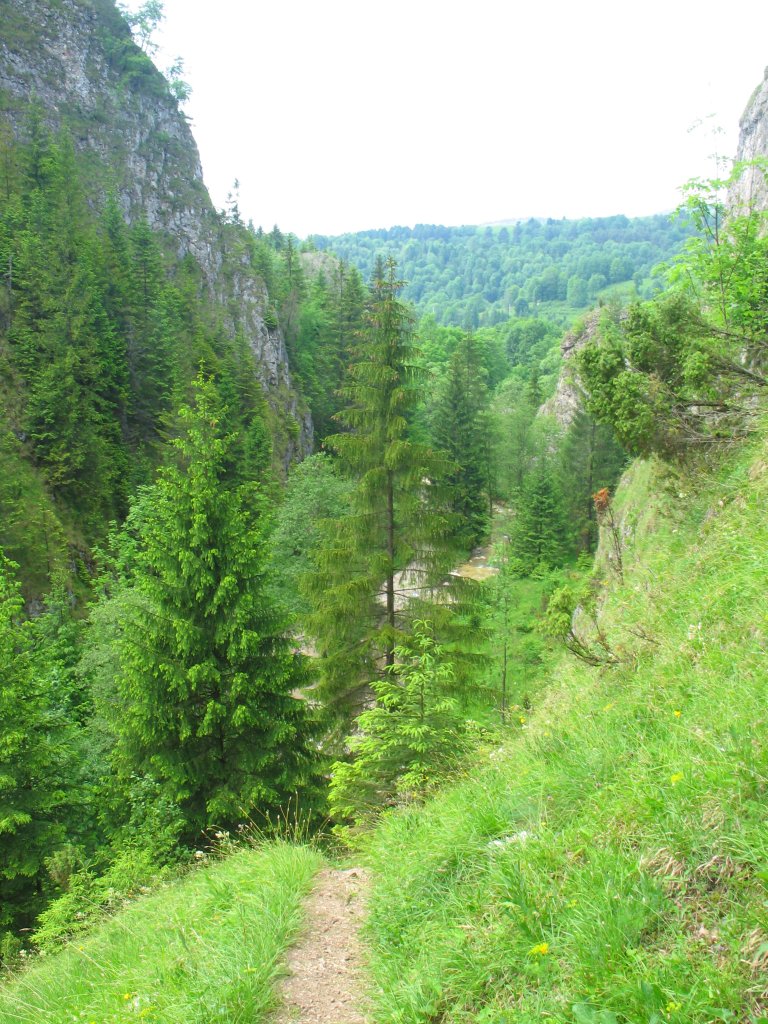 A-wawoz_homole05.JPG, galeria Szczawnica