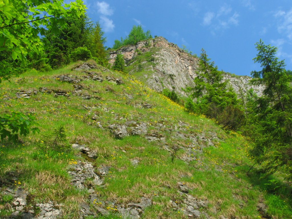 A-wawoz_homole06.JPG, galeria Szczawnica