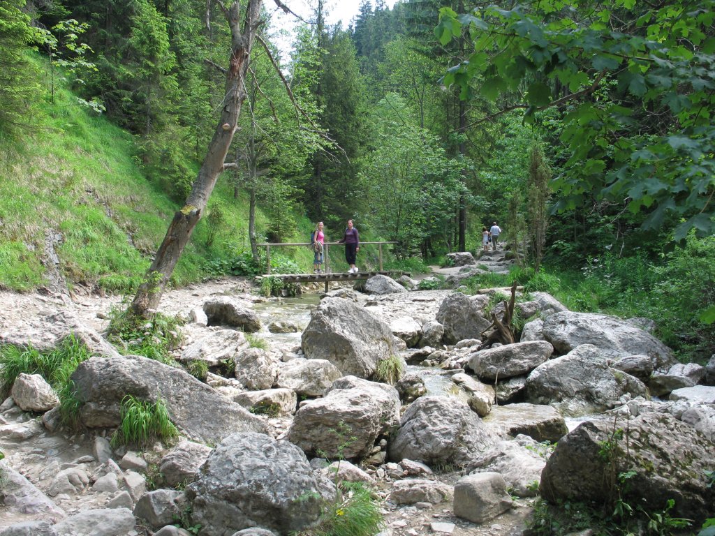 A-wawoz_homole08.JPG, galeria Szczawnica