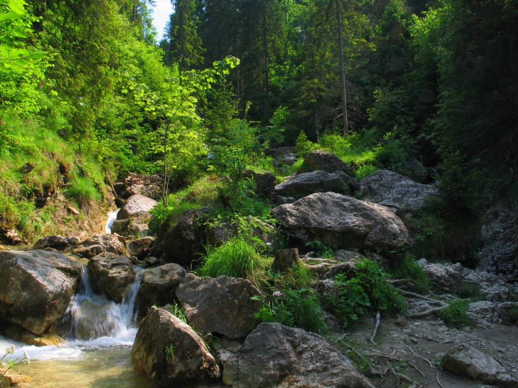 A-wawoz_homole10.JPG, galeria Szczawnica