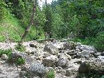 A-wawoz_homole08.JPG