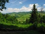 D-sokolica03.JPG