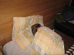 F-IMG_8782.JPG