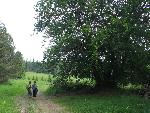 F-radziejowa10.JPG