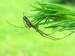G-IMG_8788.JPG
